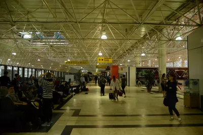 DSC_7460 (Large).JPG